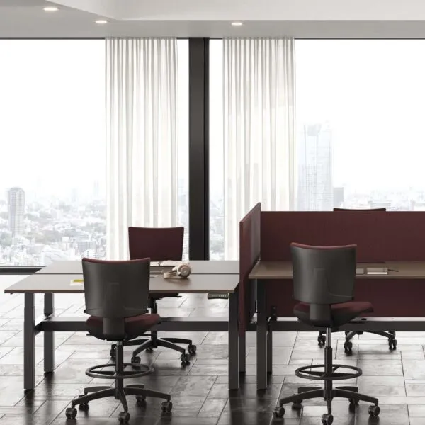 height adjustable Frezza pop ad bench
