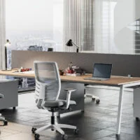 Multi-Position Bench Desks - Frezza Pop Ace
