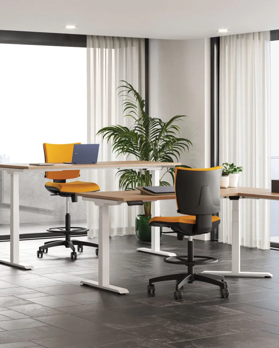 Bureau Réglable en Hauteur électrique