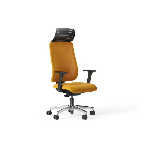 DEVAISE Sedia Ufficio Ergonoica con Supporto Lobare Regolabile