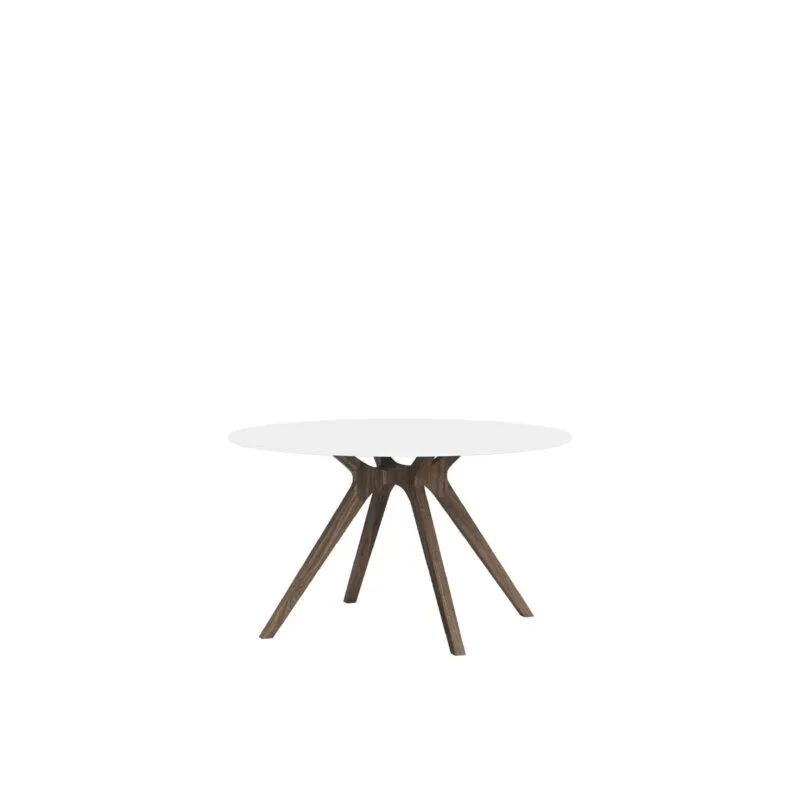 Meeting Tables for Office in Glass and Wood - Dr