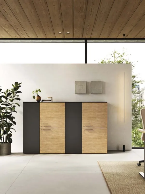 Design Office Cabinet - Madia Frezza